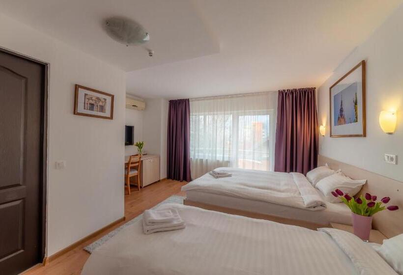 스탠다드 발코니 룸, Pension Cluj