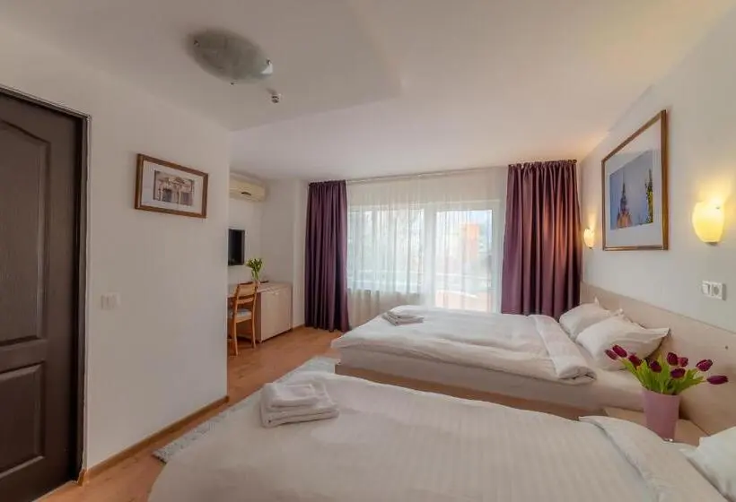 バルコニー付きスタンダードルーム, Pension Cluj