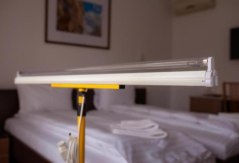 스탠다드 발코니 룸, Pension Cluj