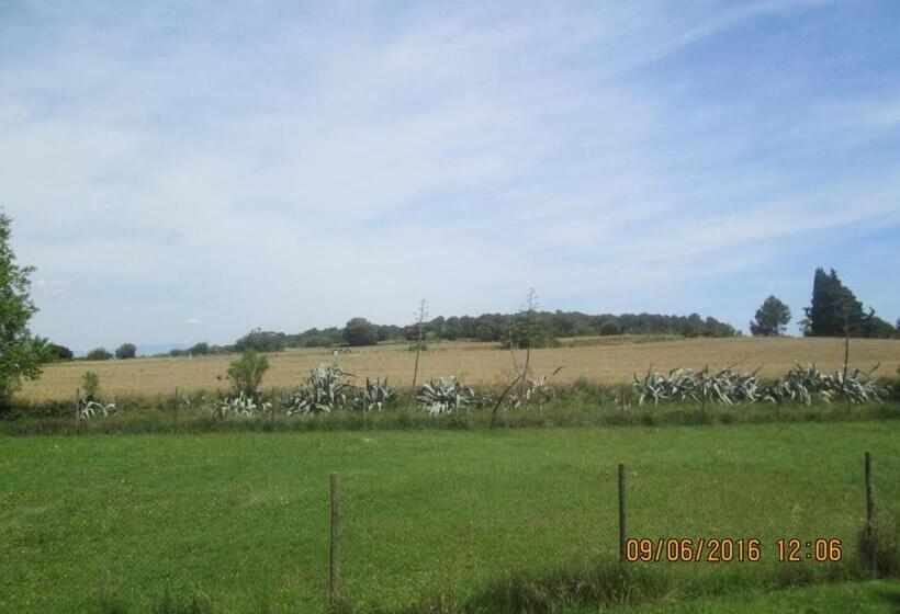 Номер Стандарт Индивидуальный, Pensio L'avi Pep