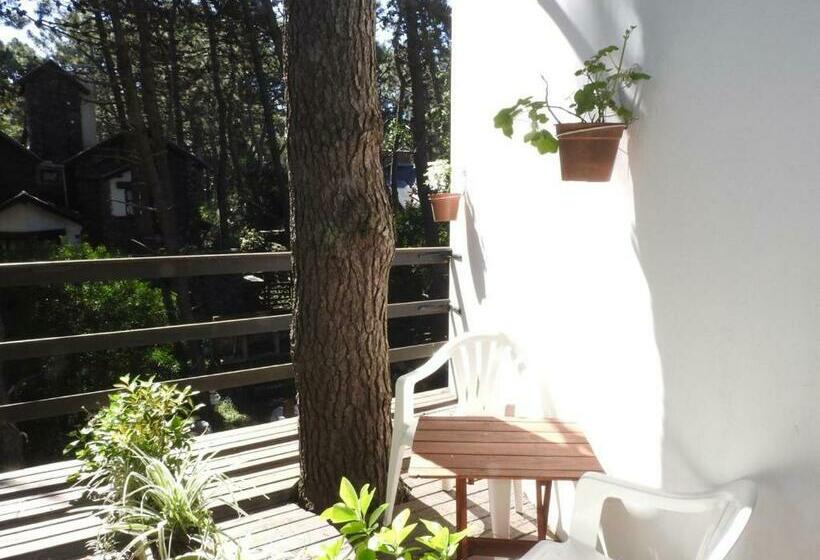 标准间, Las Piedras