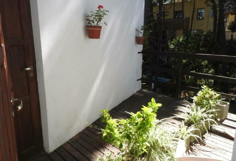 标准间, Las Piedras