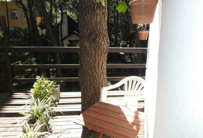 اتاق استاندارد, Las Piedras
