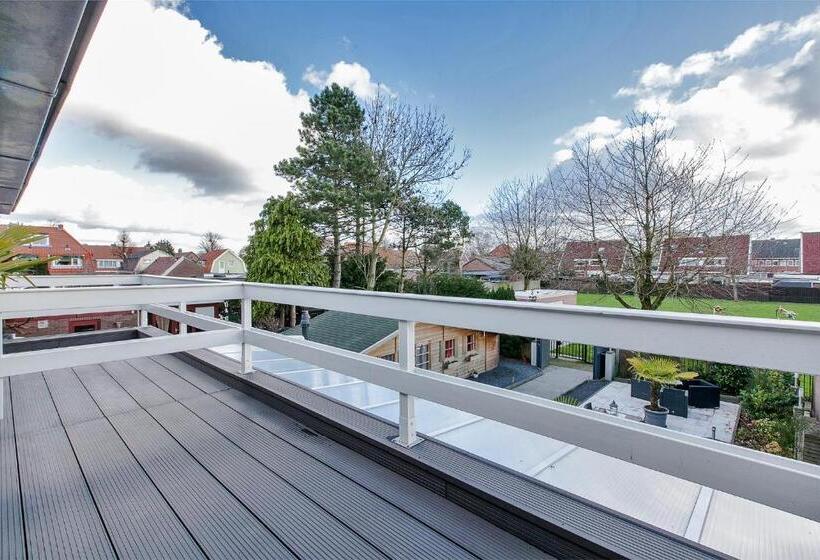 اتاق اکونومی, Alex Rooms