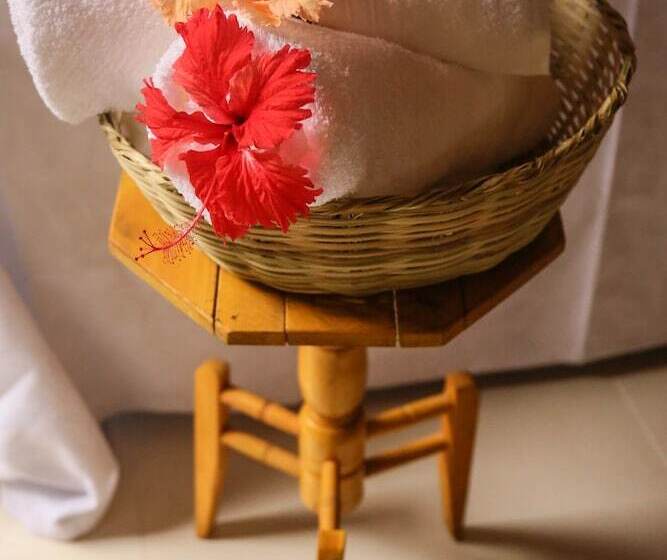 اتاق راحتی, Pousada Recanto Do Sol