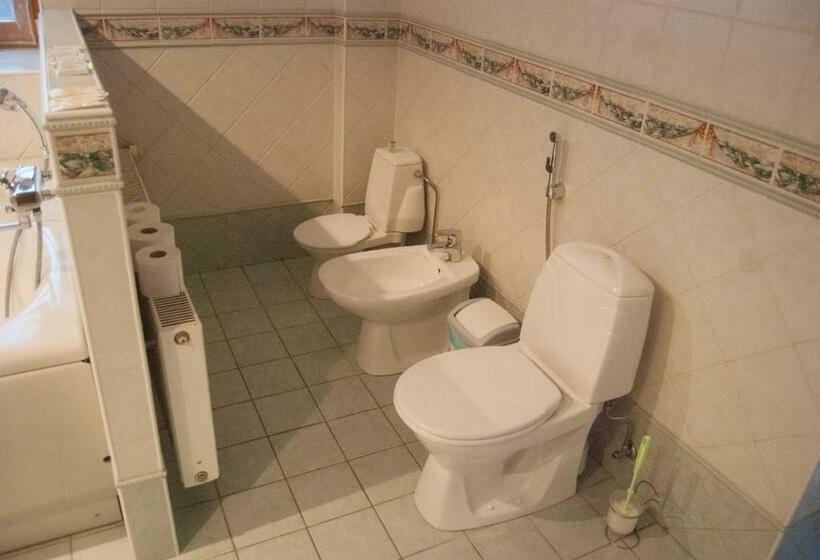 Номер Стандарт Совместная Ванная, Riia Villa