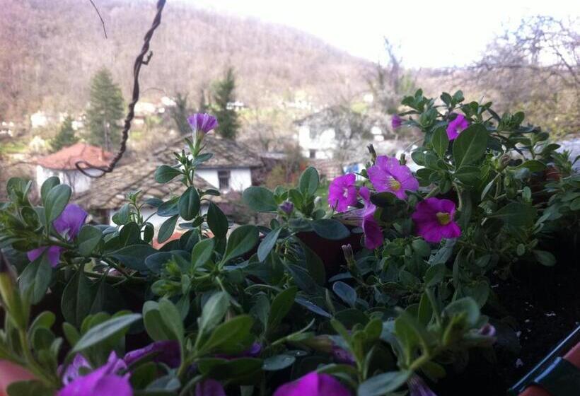 חדר סופריור, Stefanina Guesthouse