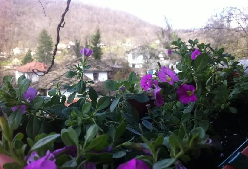 スーペリアールーム, Stefanina Guesthouse