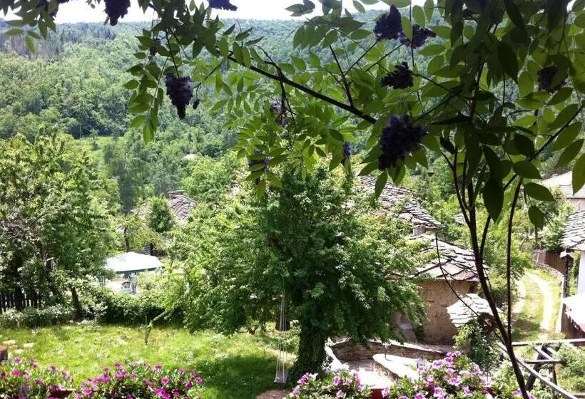 スーペリアールーム, Stefanina Guesthouse