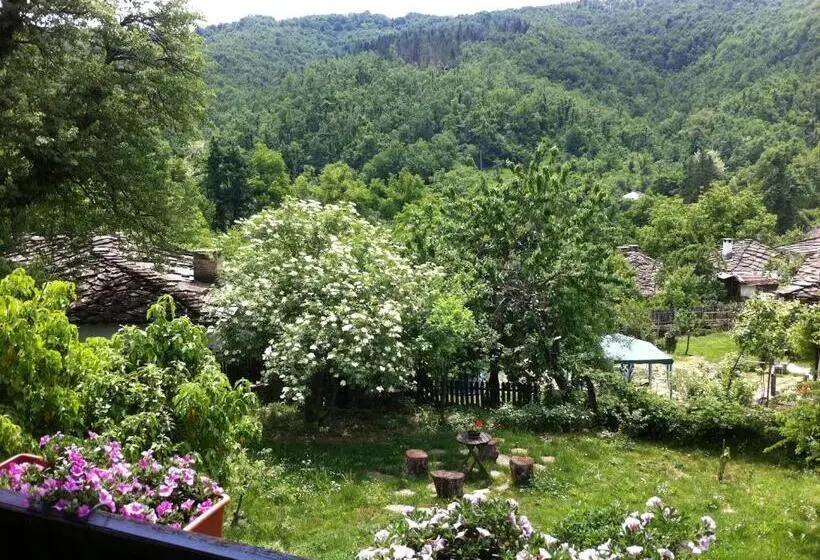 スーペリアールーム, Stefanina Guesthouse