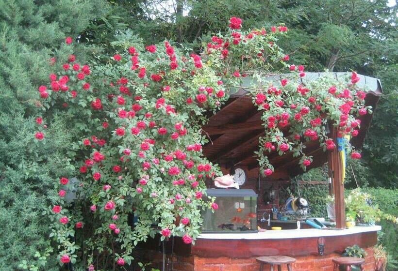 스탠다드 룸, Vila Saltanat 41