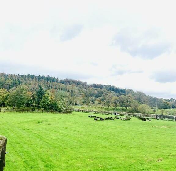 חדר סטנדרט, The Wilson Arms