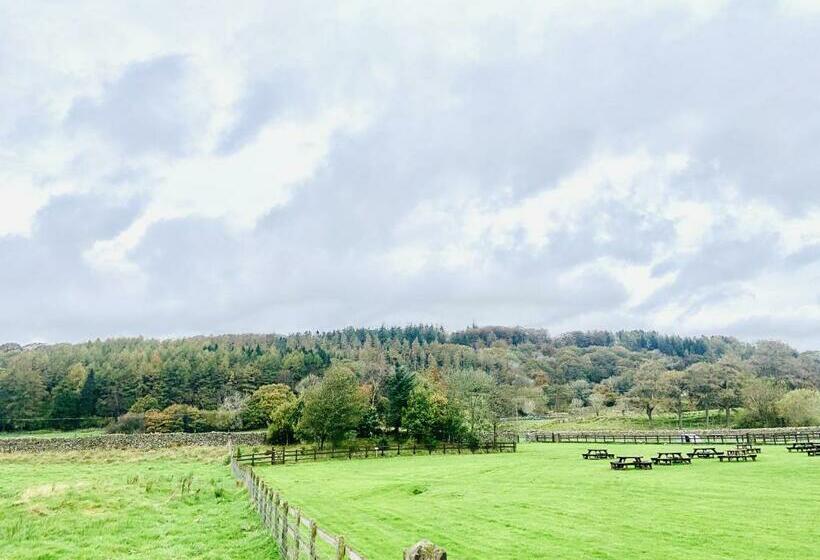 חדר סטנדרט, The Wilson Arms