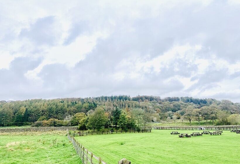 חדר סטנדרט, The Wilson Arms