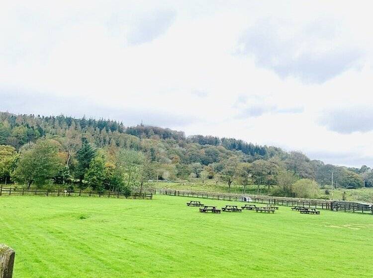 חדר סטנדרט יחיד, The Wilson Arms