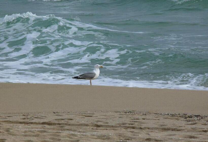 اتاق استاندارد, Guest House Galema