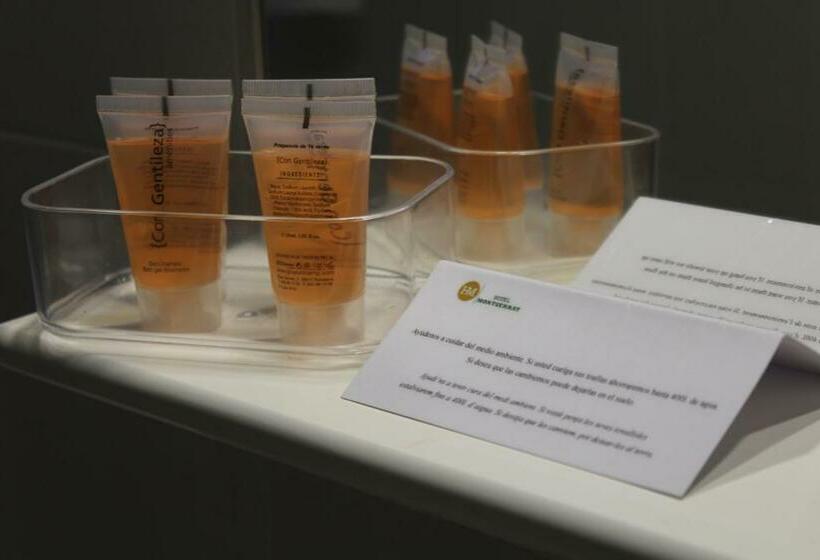 חדר סטנדרט, Hostal Montserrat