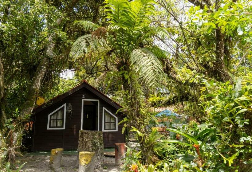 Шале 1 Спальня, Pousada Orquideas