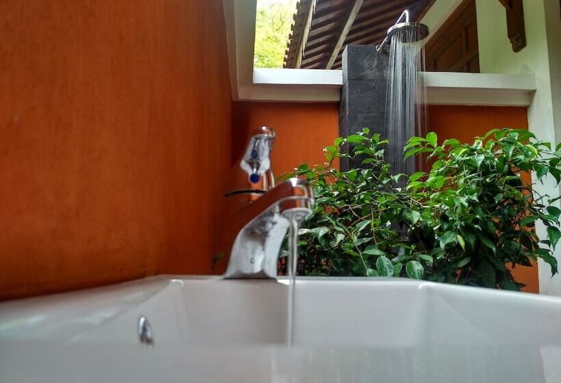 标准单人间, The Studio