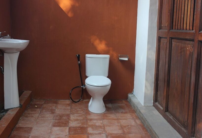 اتاق استاندارد یک نفره, The Studio