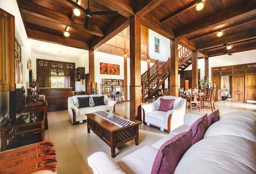 اتاق استاندارد یک نفره, The Studio