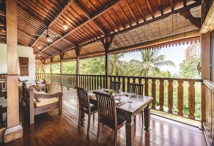 标准单人间, The Studio