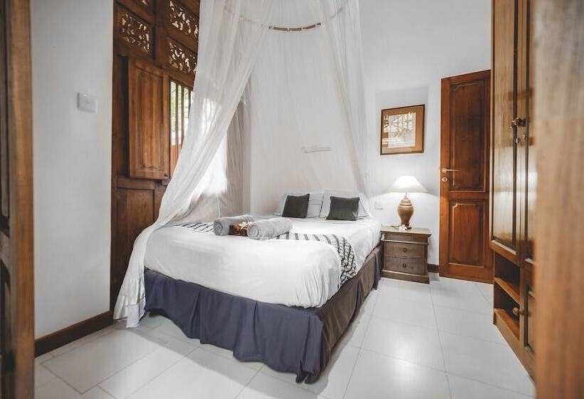 标准单人间, The Studio