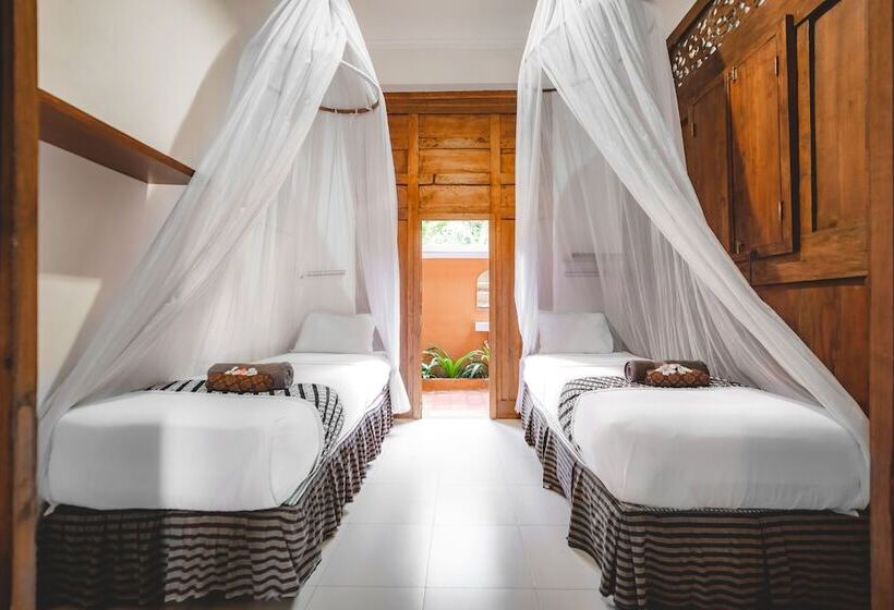 标准间, The Studio