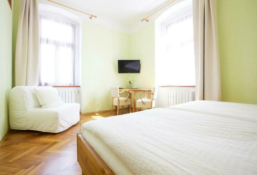 غرفة قياسية, Wellness Penzion U Muzea