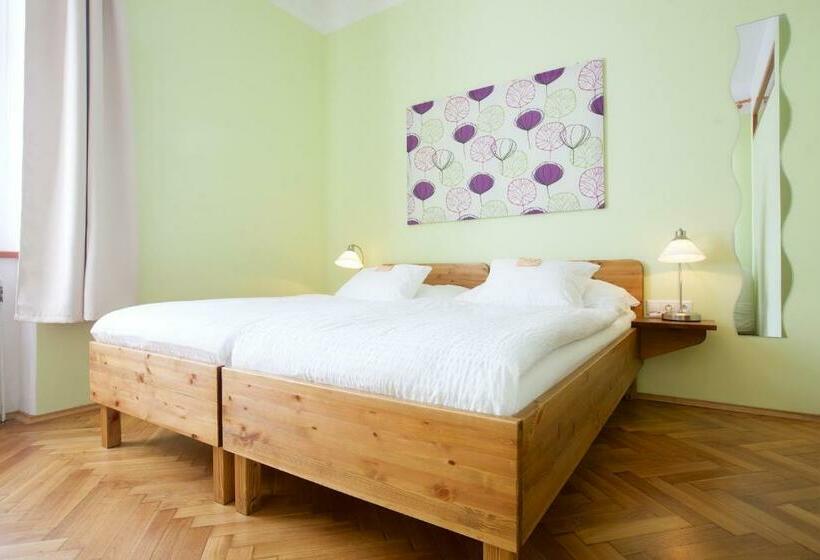 غرفة قياسية, Wellness Penzion U Muzea