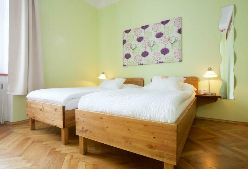 غرفة قياسية, Wellness Penzion U Muzea