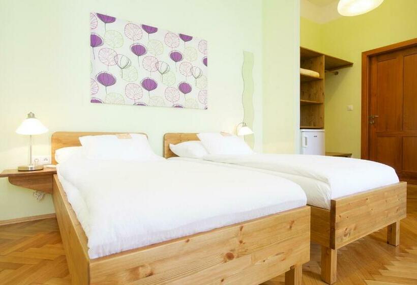 غرفة قياسية, Wellness Penzion U Muzea