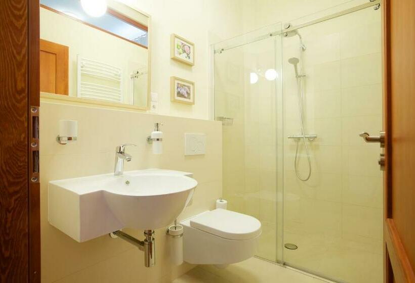 غرفة قياسية, Wellness Penzion U Muzea