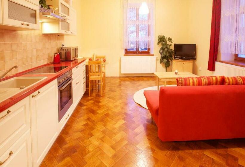 شقة غرفة واحدة, Wellness Penzion U Muzea