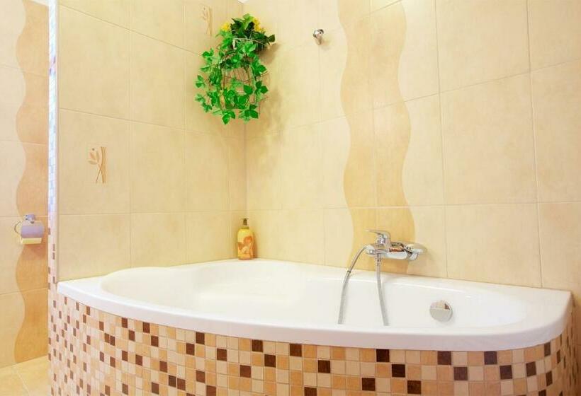 شقة غرفة واحدة, Wellness Penzion U Muzea