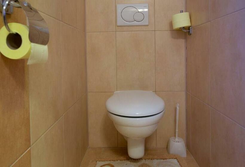 شقة غرفة واحدة, Wellness Penzion U Muzea