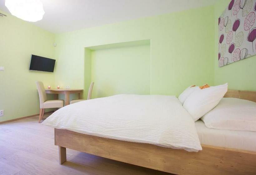 شقة غرفة واحدة مطلة على الحديقة, Wellness Penzion U Muzea