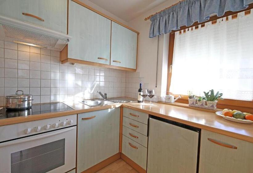 Апартаменты 1 Спальня, Ciasa Rudiferia Appartamenti In Alta Badia