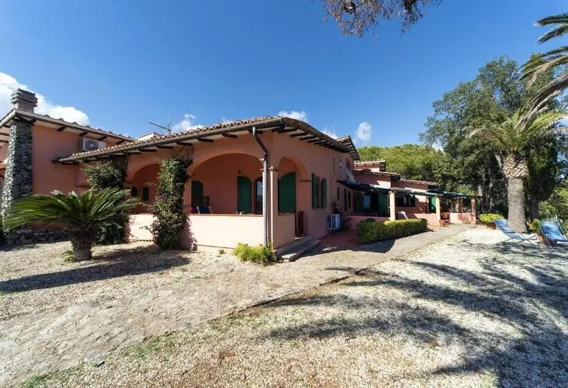 バルコニー付きスタンダードステューディオ, Gavila's Residenza Turistico Alberghiera