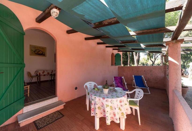 استودیو استاندارد با چشم‌انداز باغ, Gavila's Residenza Turistico Alberghiera