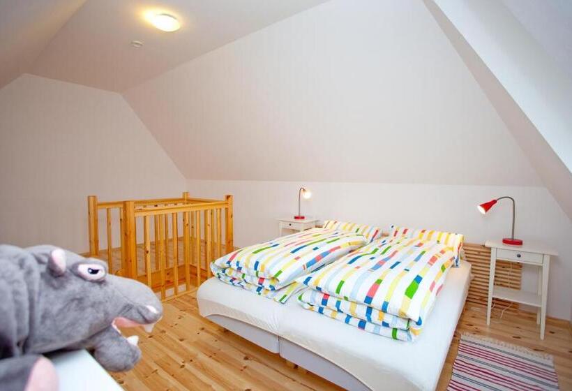 Апартаменты 1 Спальня, Gutshaus Ketelshagen