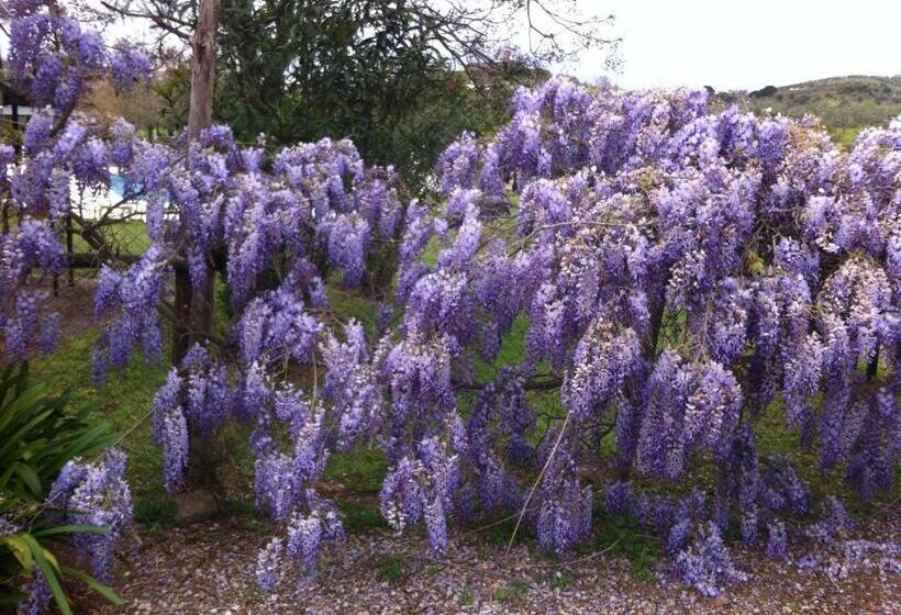 آپارتمان 2 خوابه, Monte Da Boa Vista   Descanso Perfeito