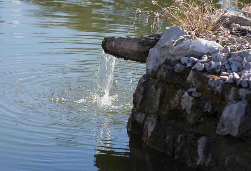 اتاق پرمیوم, Monte Da Boa Vista   Descanso Perfeito