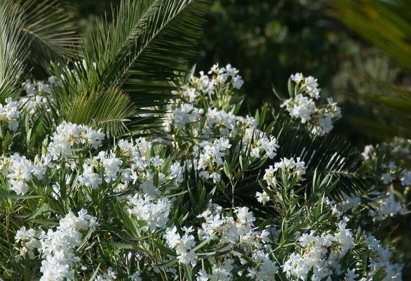 اتاق پرمیوم, Monte Da Boa Vista   Descanso Perfeito