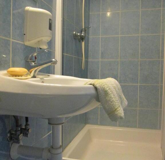 غرفة قياسية, Penzion U Holubů Nový Jičín