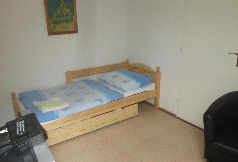 غرفة قياسية, Penzion U Holubů Nový Jičín