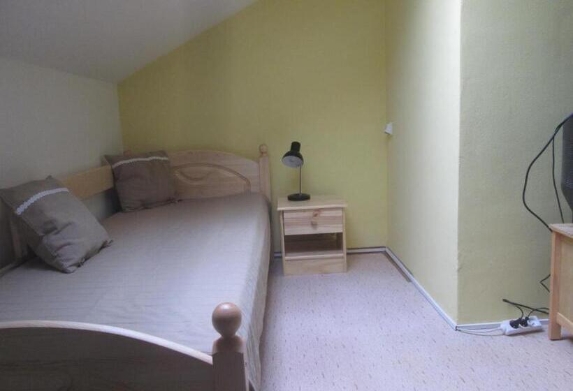 غرفة قياسية, Penzion U Holubů Nový Jičín