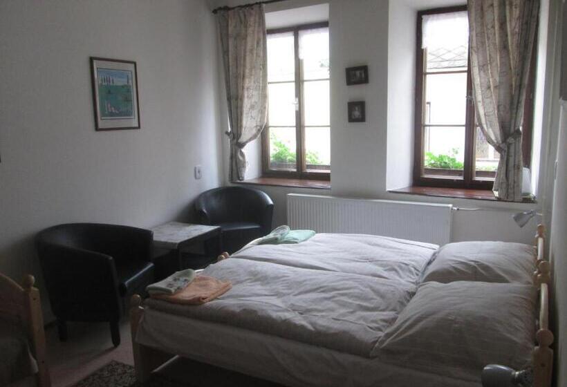 غرفة كلاسيكية ثلاثية, Penzion U Holubů Nový Jičín