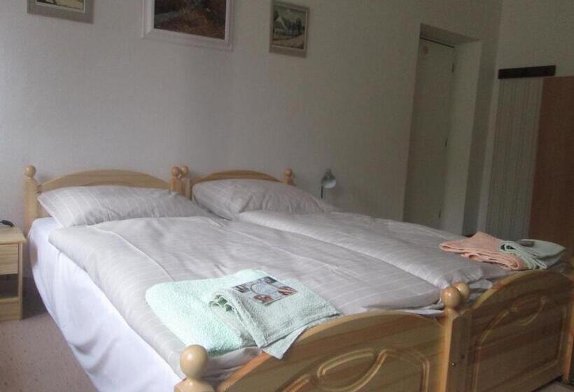 غرفة كلاسيكية ثلاثية, Penzion U Holubů Nový Jičín