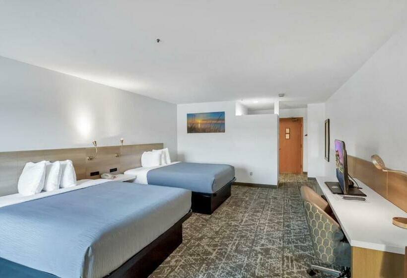 غرفه قياسيه سريرين مزدوجين, Waterbird Lakeside Inn